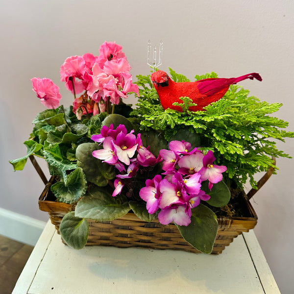 Blooming Dish Garden